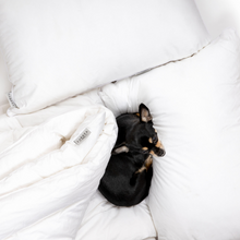 Load image into Gallery viewer, Winter Essentials: Comfort Set (2 Pillows + Fluffy Winter Duvet)